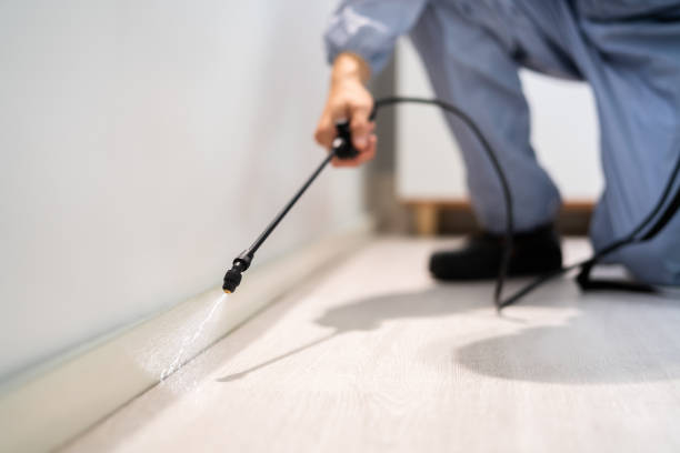 Licensed Mosquito Control service in Novi, MI - Show Me Pest Control