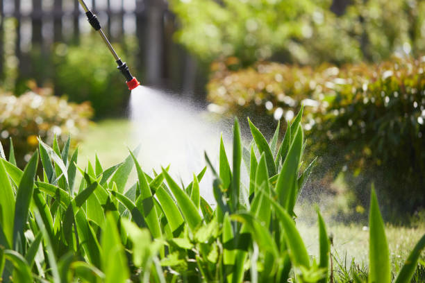 24/7 Emergency Mosquito Control experts in Novi, MI